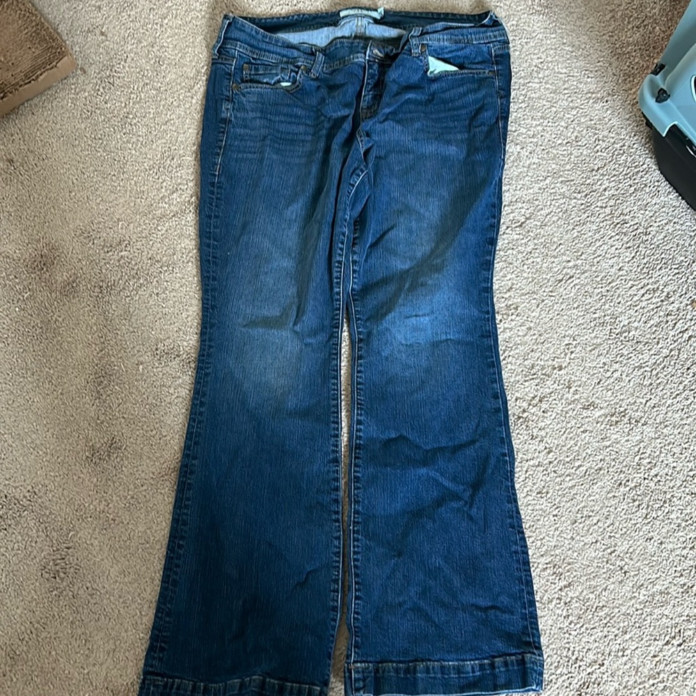 Torrid jeans